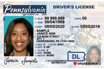 picture of a driver's license